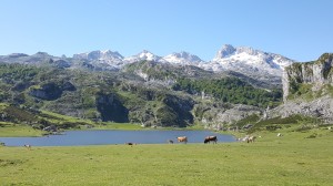 Lago Ercina above Covadonga